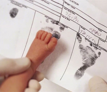 孕妇梦见鸭子什么意思，沈阳代怀孕梦到鸭子是生男还是生女？
